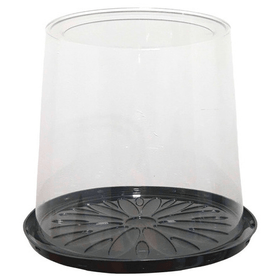 BANDEJA-BOLO-COM-TAMPA-G58CT-TORTA-ALTA-UN-707562