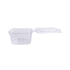 POTE-RETANGULAR-ARTICULADO-P88-250ML-PRAFESTA-840037