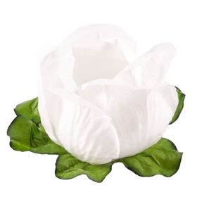 FORMA-FLOR-RAINHA-BRANCOBRANCO-C40-UN-111200
