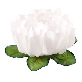Forma-Flor-Rosa-Maior-Branca-C40-UN-111815