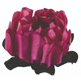 Forma-Flor-Rosa-Maior-Rose--C40-UN-112690