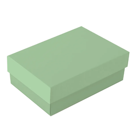 CAIXA-RET-CTAMPA-PETIT-CHA-LATTE-VERDE-P-16X10X55CM-CROMUS-840741