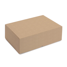 CAIXA-RETANGULAR-REALCE-KRAFT-P-20X14X7CM-CROMUS-841036