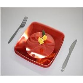 Prato-Acrilico-Sob-Quad-Verm-C10-UN-2935