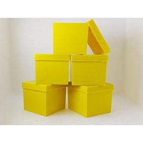 CAIXA-ACRILICA-5X5-LEITE-AMARELO-C10UN-UN-445827