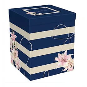 CAIXA-CUBO-PRETA-11X11X12CM-UN-772836