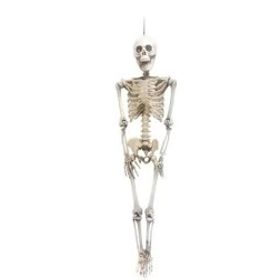 ENF-ESQUELETO-CAVEIRA-90CM-HALLOWEEN-YDH-848273