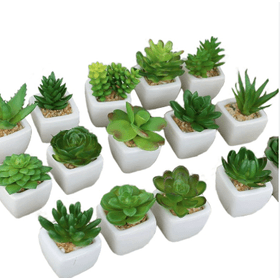 VASO-PORCELANA-SUCULENTA-SORT-8X6CM-MULTIART-848524