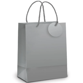SACOLA-LAM-PRATA-METAL-FOSCO-P-215X15X8-CROMUS-848427