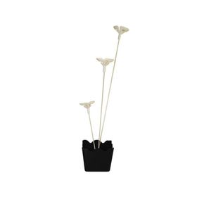 Mini-Cachepo-CPega-Balao-Preto-7x7xm-UN-660469