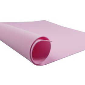 EVA-ROSA-UN-722138