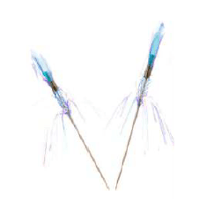 PALITO-PETISCO-NACARADO-15CM-C6-UN-715891