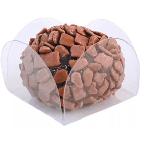 FORMINHA-4-PETALAS-ACETATO-C50UN-NC-TOYS-1183