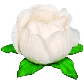 FORMINHA-PRINCESA-CHAMPAGNE-C30UN-781640