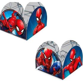 Porta-Form-Spider-Man-Animacao-C50-UN-667536