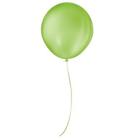 BALAO-SAO-ROQUE-N8-VERDE-LIMA-C50-707600