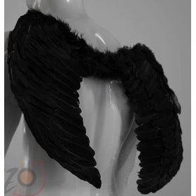 ASA-ANJO-CPENA-PRETA-NYR-714496