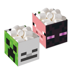 CACHEPOT-MEDIO-MINECRAFT-C8UN-FESTCOLOR-852107