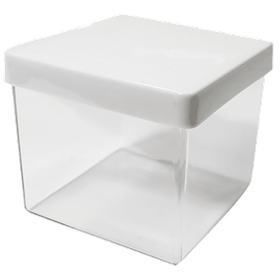 CAIXA-ACRILICA-5CM-TAMPA-BRANCA-C10-UN-700290