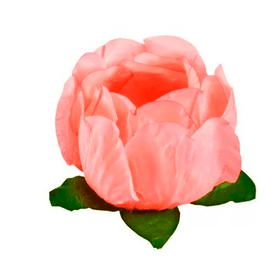 FORMINHA-PRINCESA-PESSEGO-C30UN-781535