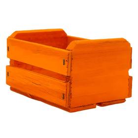 CAIXOTE-FRUTA-LARANJA-P-265X13X105CM-UN-778846