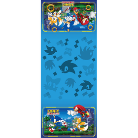 TOALHA-PAPEL-120X220CM-SONIC-REGINA-FESTAS-779606