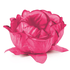 FORMINHA-PDOCE-FLORA-FUCSIA-C30UN-UN-772962
