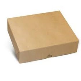 CAIXA-RET-TAMPFUNDO-NEW-KRAFT-M-25X20X5-CROMUS-767434