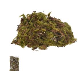 MUSGO-NATURAL-VERDE-50G-FLOARTE-789096
