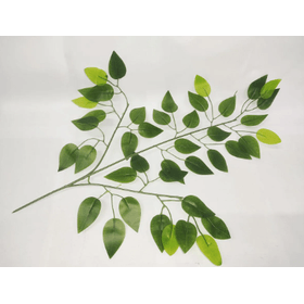 FOLHAGEM-REAL-TOQUE-X124-70CM-VERDE-FLORARTE-854116
