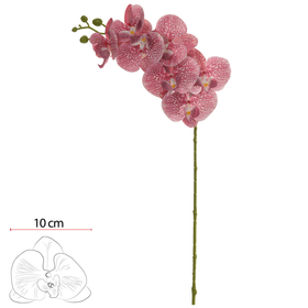 ORQUIDEA-PHALAENOPSIS-REAL-TOQUE-X7-CREME-ROSA-PURO-80CM-VOL.2-FLORARTE-854026