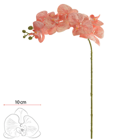 ORQUIDEA-PHALAENOPSIS-REAL-TOQUE-X7-PESSEGO-80CM-VOL.2-FLORARTE-854027