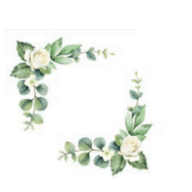 GUARDANAPO-PAPEL-FOLHA-DUPLA-BORDA-GREEN-C20UN-33X33CM-PONTO-DAS-FESTAS-854403