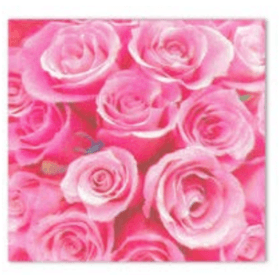 GUARDANAPO-PAPEL-FOLHA-DUPLA-ROSAS-ROSA-C20UN-33X33CM-PONTO-DAS-FESTAS-854409