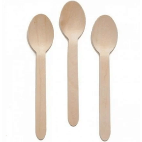 COLHER-MADEIRA-16CM-C12UN-YDH-854634