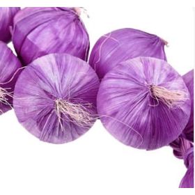 ALHO-ROXO-PEQUENO-01UN-764665