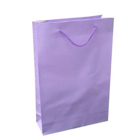 SACOLA-21X8X25-LILAS-UN-691739
