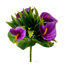 BUQUE-COPO-DE-LEITE-25CM-X5-BELA-FLOR--856129