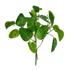 BUQUE-FOLHAS-FITTONIA-34CM-X5-C27-FOLHAS-BELA-FLOR-856157
