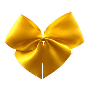 LACO-CETIM-N9-AMARELO-CANARIO-C6UN-ARTE-EM-CETIM-792227