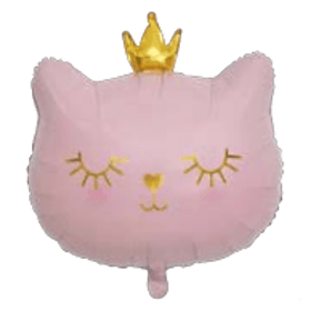BALAO-MET-GATINHO-CCOROA-ROSA-PONTO-DAS-FESTAS-855744
