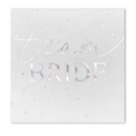 GUARDANAPO-PAP-FOLHA-DUPLA-TEAM-BRIDE-PRATA-20UN-33X33CM-PONTO-DAS-FESTAS-855854