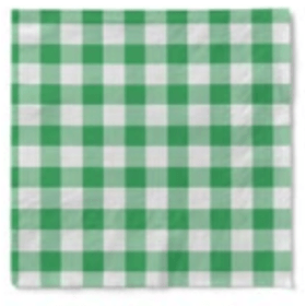 GUARDANAPO-PAP-FOLHA-DUPLA-XADREZ-VERDE-20UN-33X33CM-PONTO-DAS-FESTAS-855859