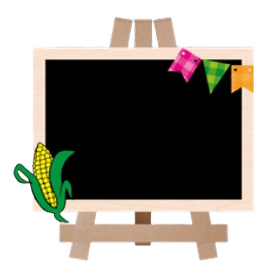 LOUSA-MDF-FESTA-JUNINA-GRINTOY-856472