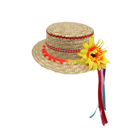 CHAPEU-DE-PALHA-C-GIRASSOL-Q-FESTA-856439