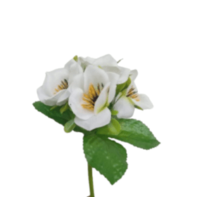 BUQUE-PAPOULA-25CM-BRANCO-X5-BELA-FLOR-856139