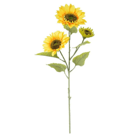 BUQUE-GIRASSOL-CFLOCKED-70CM-M-FLORARTE-857119
