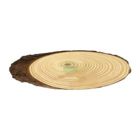 TRONCO-OVAL-MED-UN-30X11CM-ART-LILLE-857537