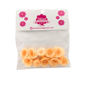 BISCUIT-ROSA-MEDIA-SALMAO-DI-LUCCA-PC-10.0-856599