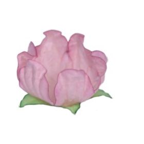 FORMA-FLOR-PESSEGO-C25UN-DECORA-DOCES-858514